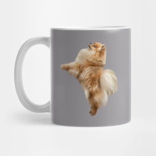 Dog Pomeranian Spitz Mug